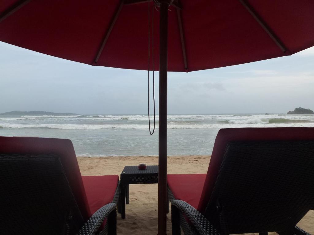 Samaru Beach Hotel, Велигама, фотографии туров
