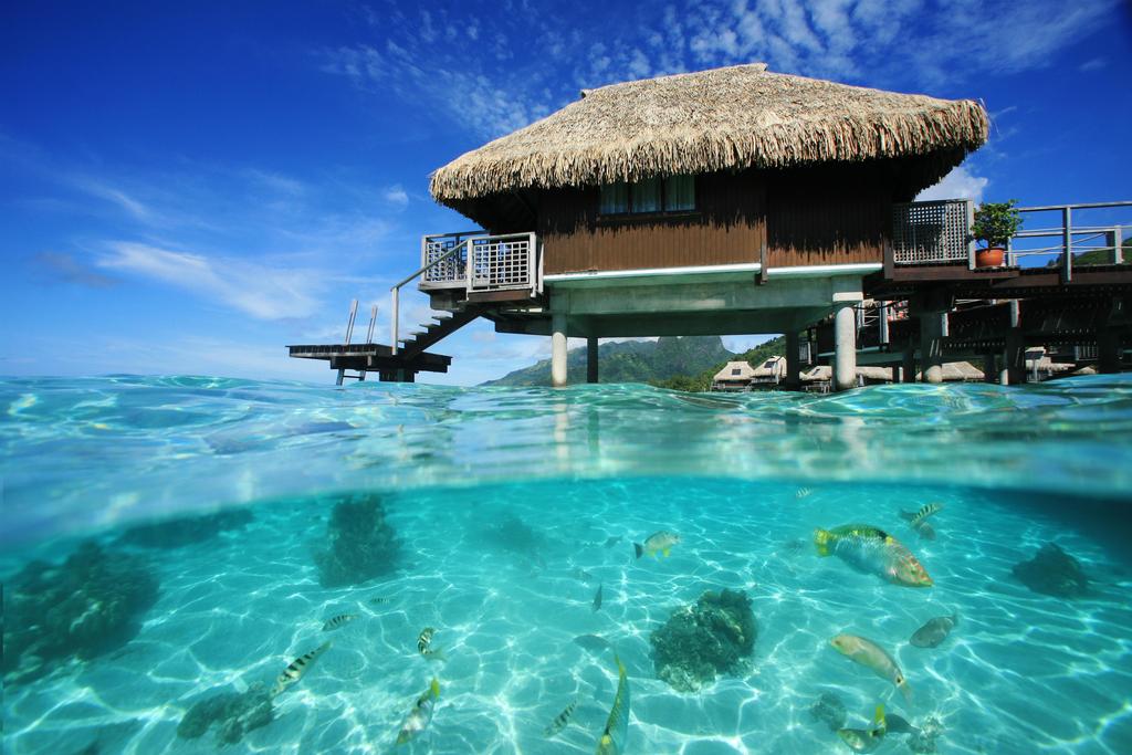 Hotel Hilton Moorea Lagoon Resort, Муреа, Французская Полинезия (Франция), фотографии туров