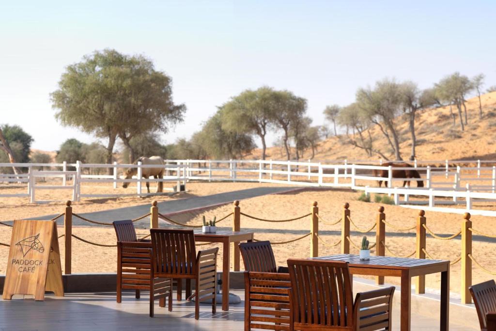 ОАЭ The Ritz-Carlton Ras Al Khaimah, Al Wadi Desert