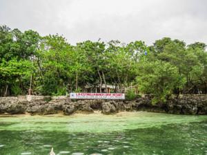 Sea Explorer Cabilao Island, 4, фотографии