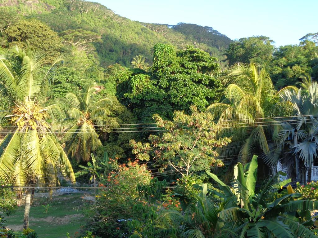 View Beach Villa, Маэ (остров), фотографии туров
