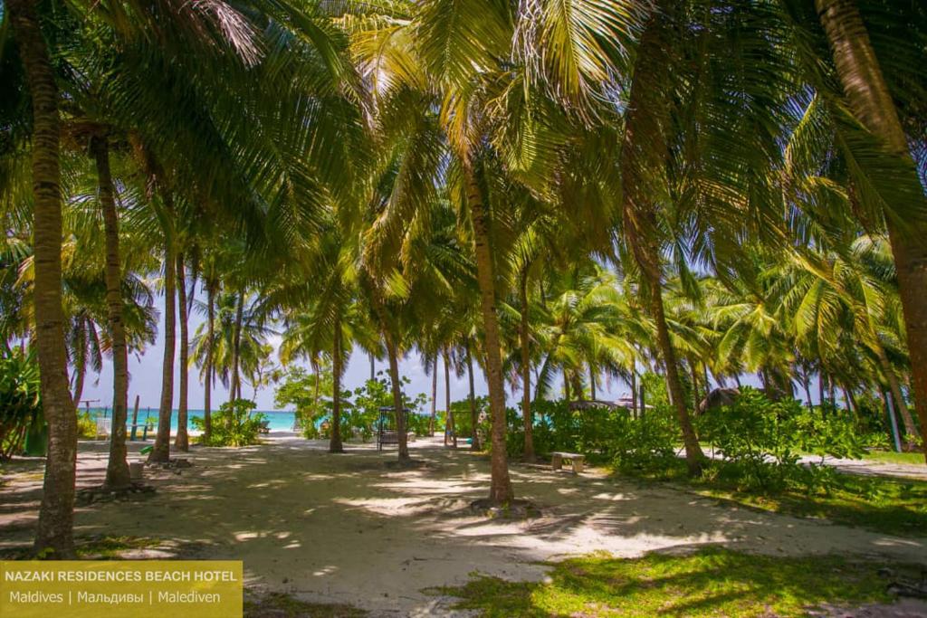 Nazaki Residence, Мальдіви, Лааму Атол, тури, фото та відгуки