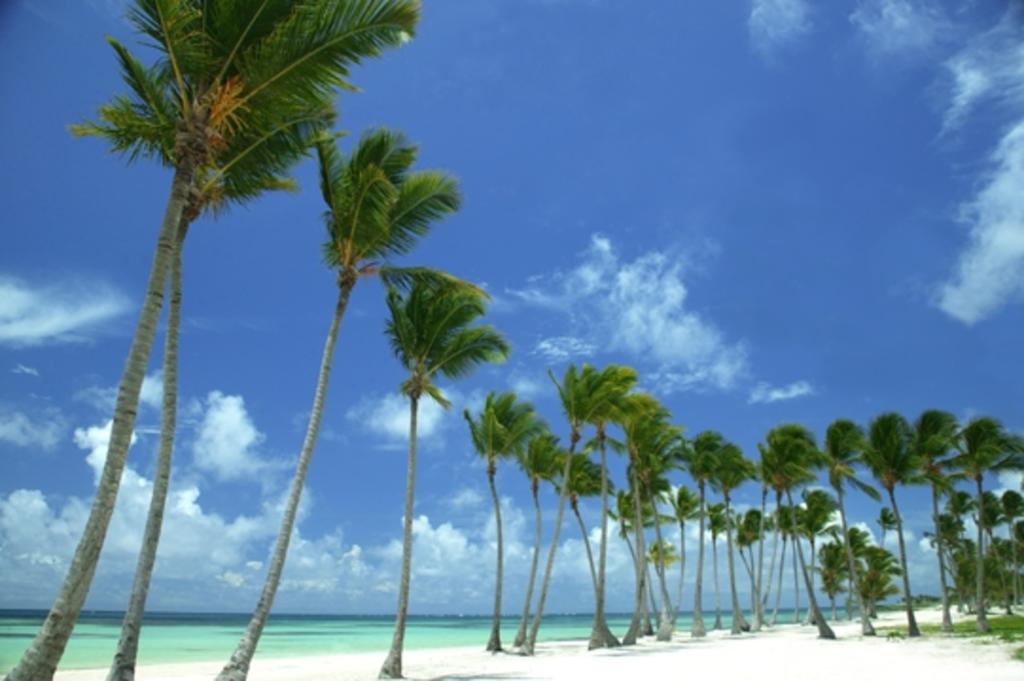 Відпочинок в готелі Ancora Punta Cana (ex. Alsol Luxury Village) Кап Кана Домініканська республіка