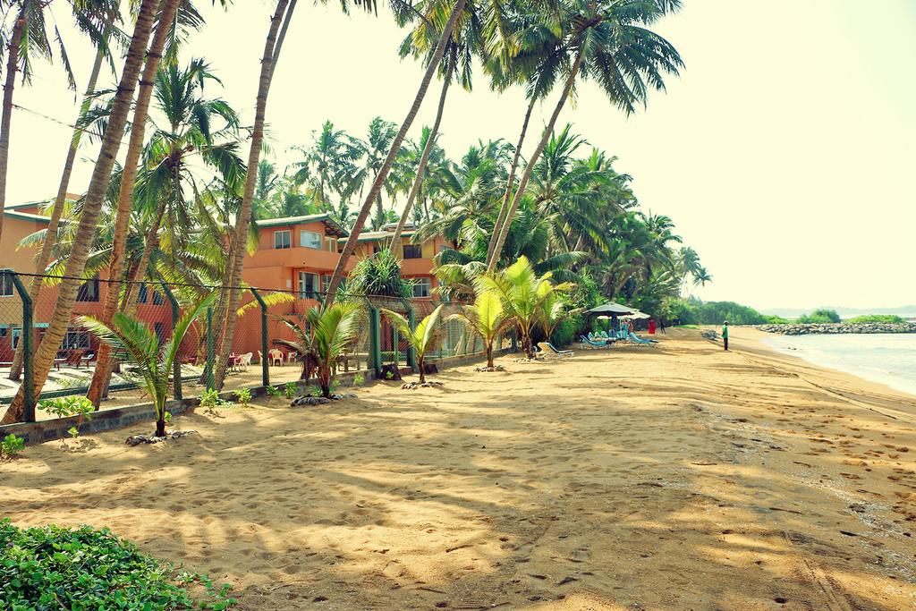 Roy Villa Beach Hotel, Sri Lanka, Beruwala, wakacje, zdjęcia i recenzje