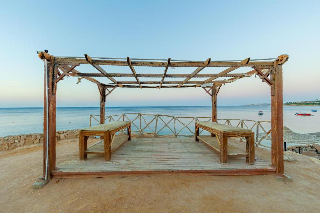 Recenzje turystów Siva Sharm (ex. Savita Resort)