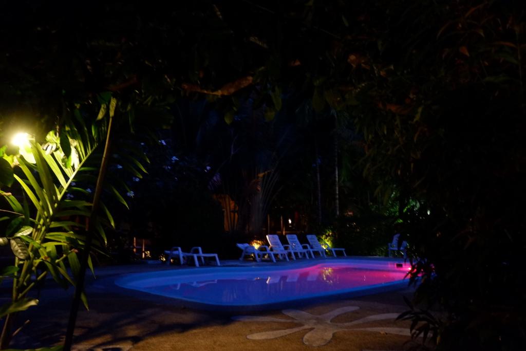 Отзывы об отеле Vipa Tropical Resort