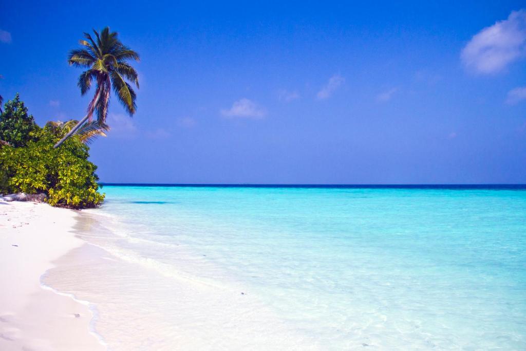 Тури в готель Safari Island Resort Арі & Расду Атоли Мальдіви
