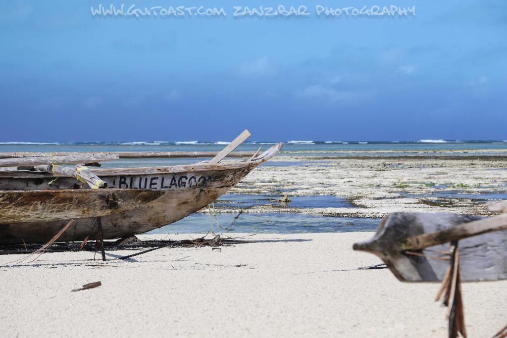 Туры в отель Albatross Ocean View Пингу Танзания
