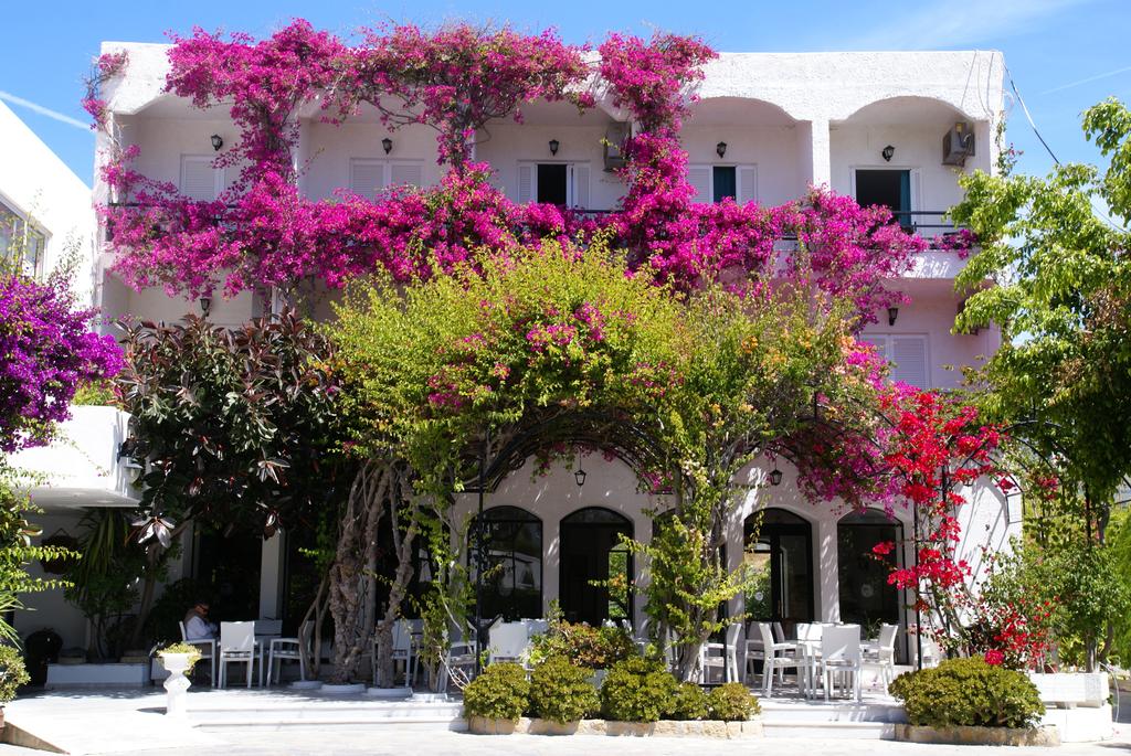 Skala Hotel, Патмос (остров), Греция, фотографии туров