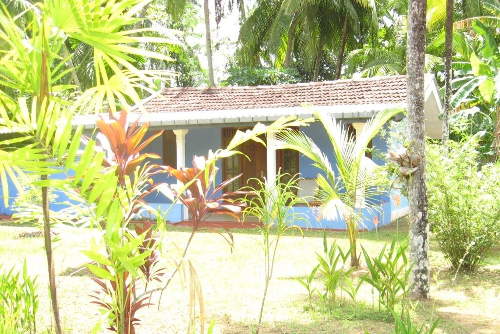 Tours to the hotel Mangrove Villa - Bentota River Bentota Sri Lanka
