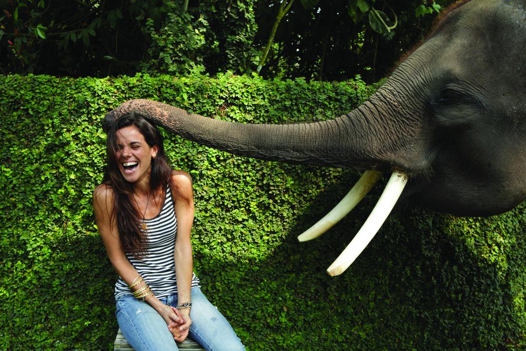 Горящие туры в отель Elephant Safari Park Lodge