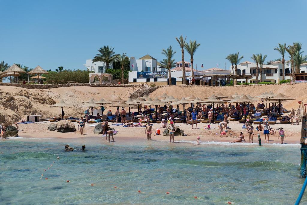 Отель, Шарм-эль-Шейх, Египет, Amphoras Beach (ex. Otium Amphoras)