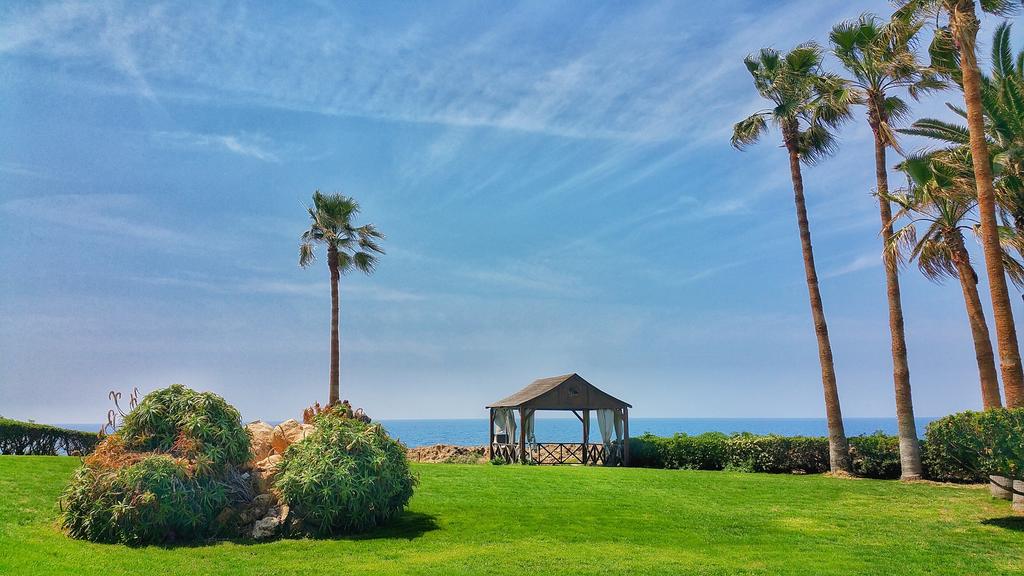 Cynthiana Beach Hotel, Пафос, Кипр, фотографии туров