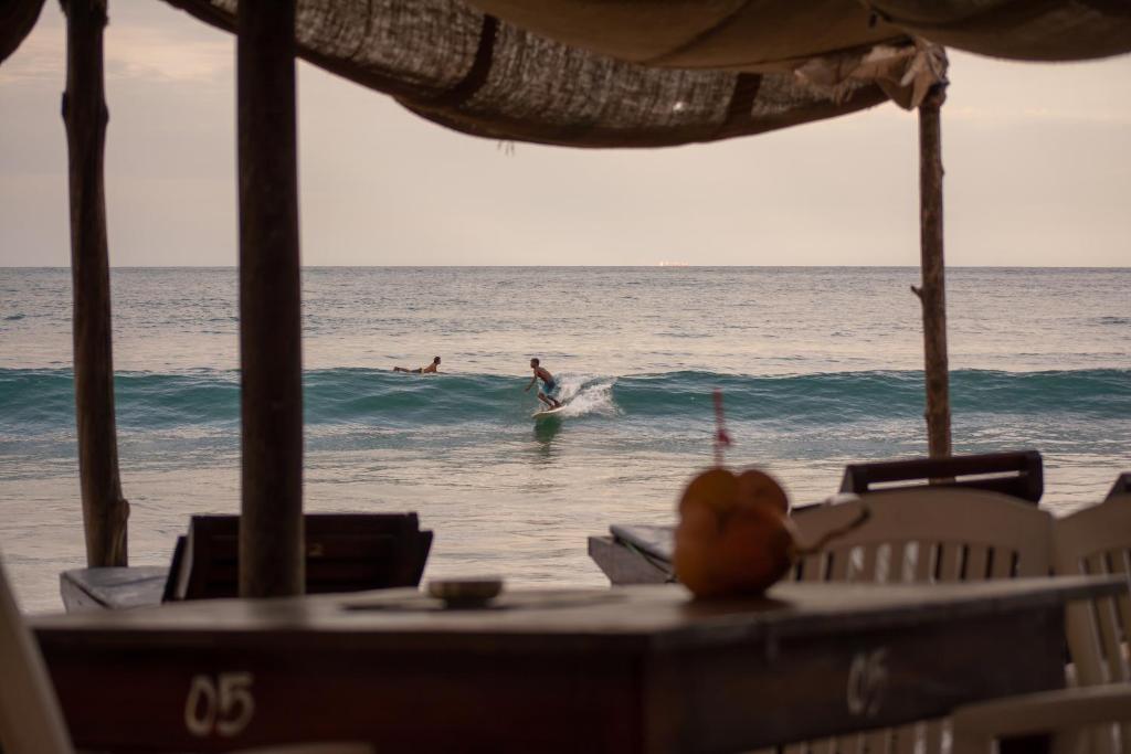 Отдых в отеле Surf Access Beach Resort Аругам-Бей Шри-Ланка