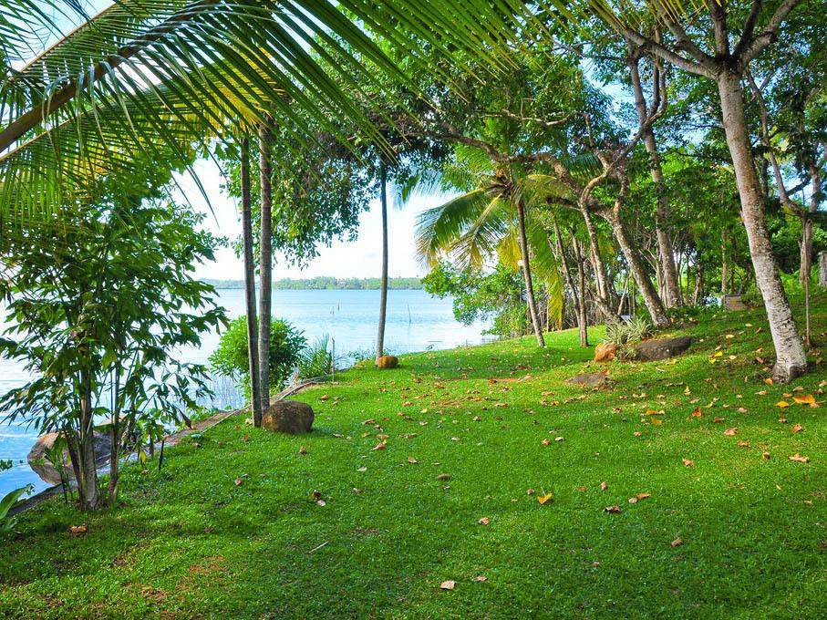 Wakacje hotelowe Lotus Paradise Ahungalla Sri Lanka