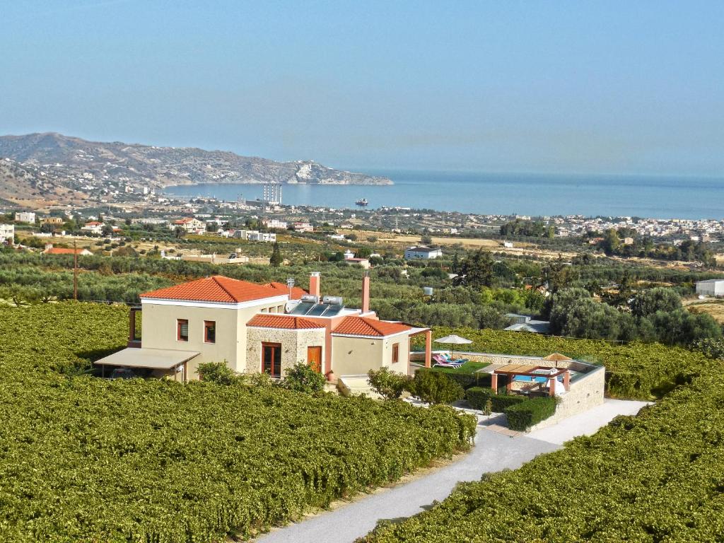 Cretan Vineyard Hill Villa, фотографии