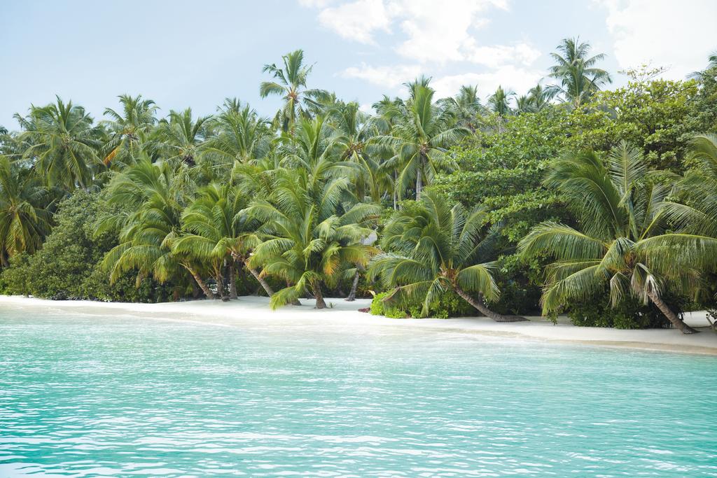 Hot tours in Hotel Shangri-Las Villingili Resort & Spa Addu Atoll