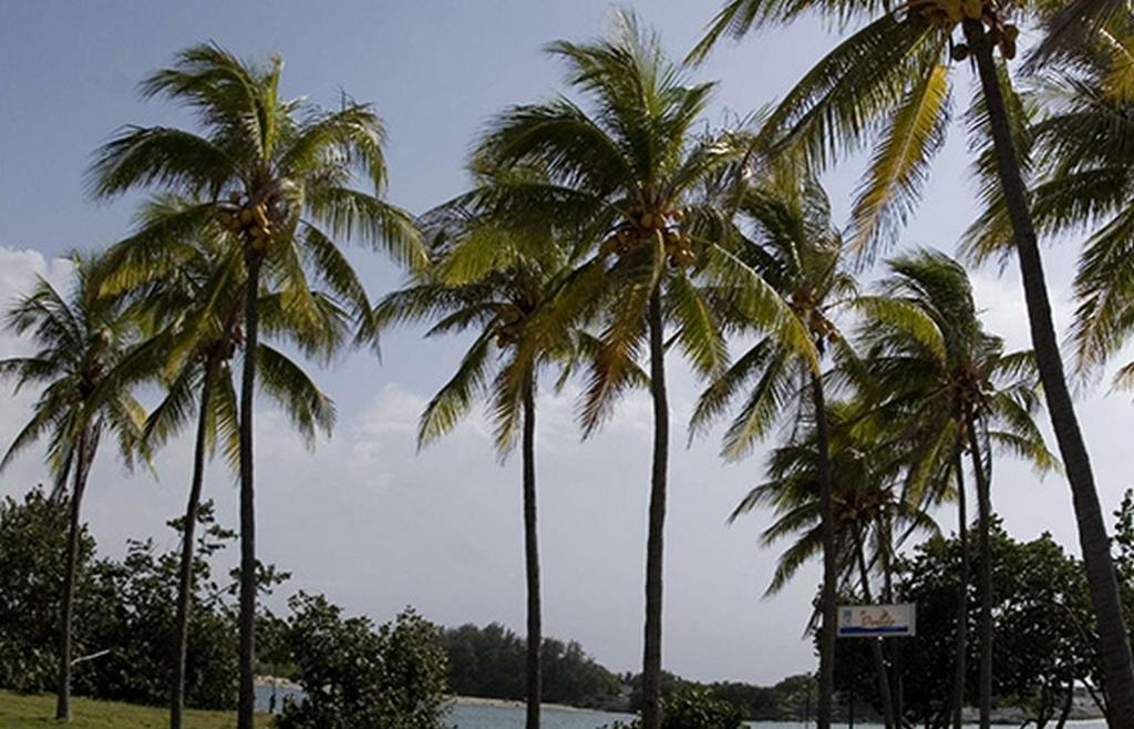 Oferty hotelowe last minute Islazul Bacuranao Playa del Este Kuba