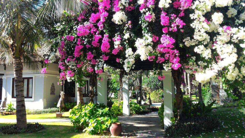 Відпочинок в готелі Muine Bay Phan Thiet Фантх'єт В'єтнам