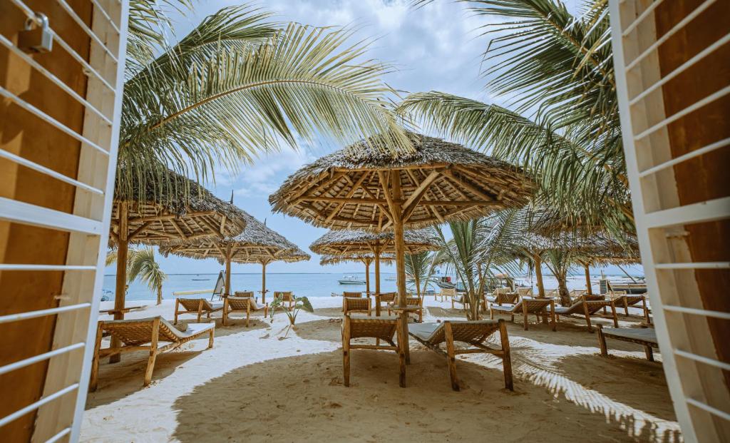 Sansi Kendwa Beach Resort, Кендва, Танзанія, фотографії турів