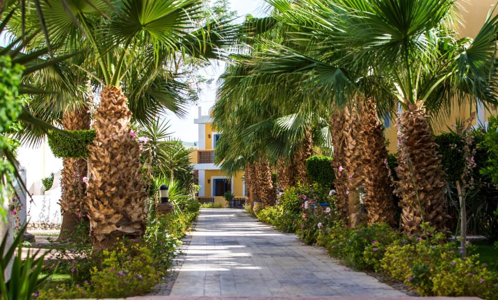 Mirage Bay Resort & Aquapark (ex. Lillyland Aqua Park), Египет, Хургада, туры, фото и отзывы