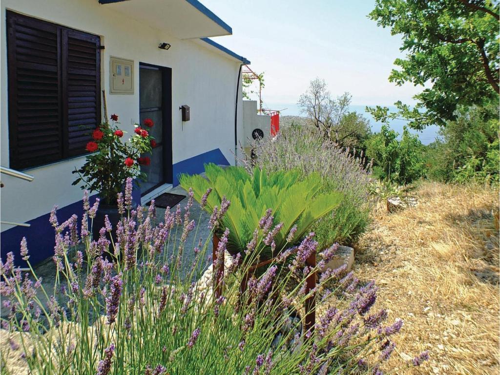 Отзывы об отеле Makarska Riviera Holiday Home