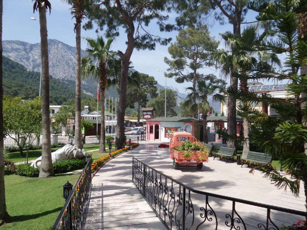 Sea Gull Hotel, Turkey, Kemer, tours, photos and reviews
