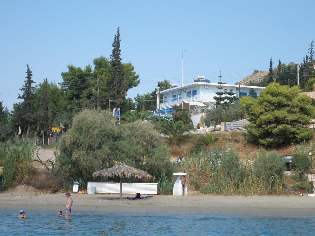 Туры в отель Tolon Beach Hotel ( ex. Barbouna Hotel) Пелопоннес Греция