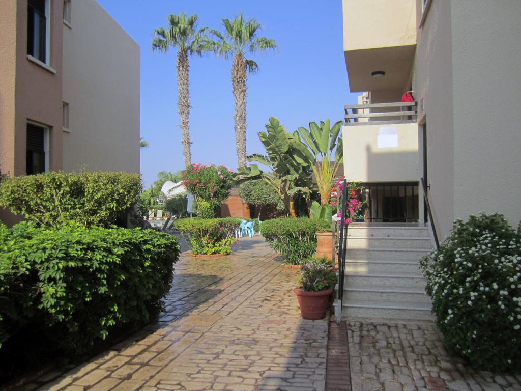 Senator Hotel Apartments, Кипр, Айя-Напа, туры, фото и отзывы