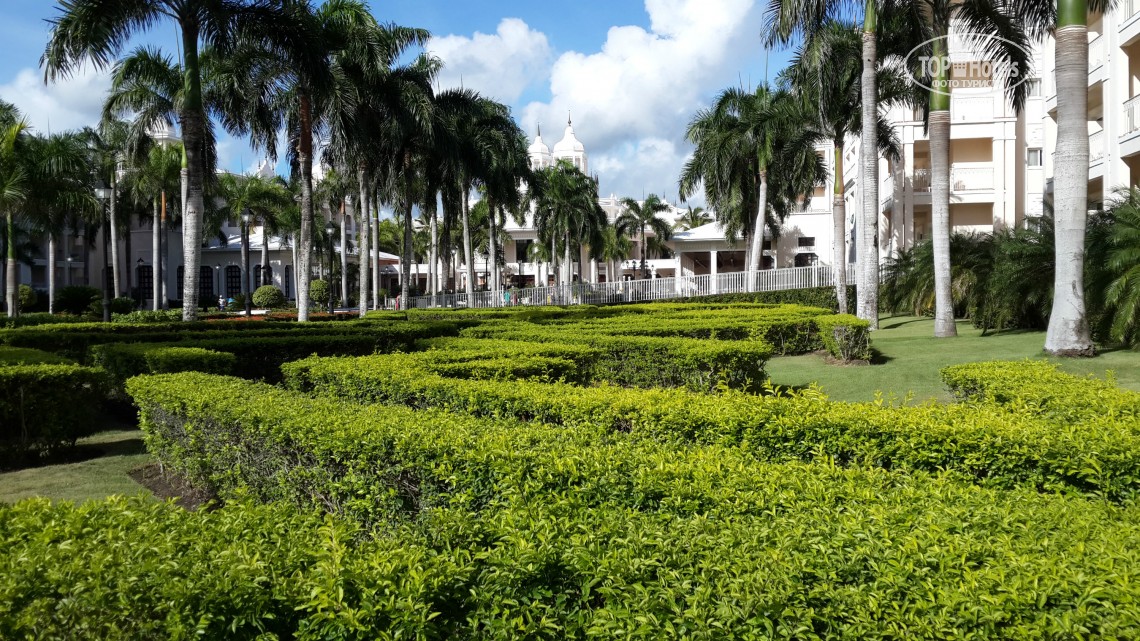 Пунта-Кана Riu Palace Punta Cana цены
