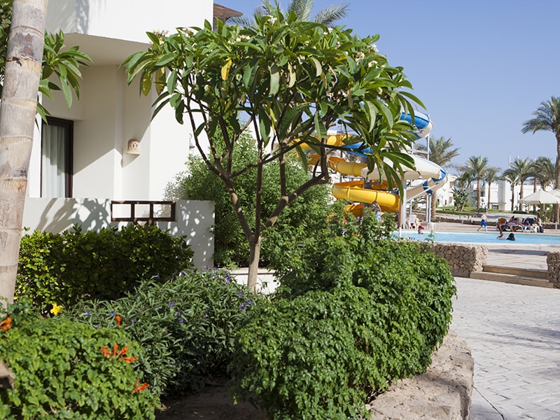 Sharm Resort (ex. Crowne Plaza Resort), Szarm el-Szejk, zdjęcia z wakacje