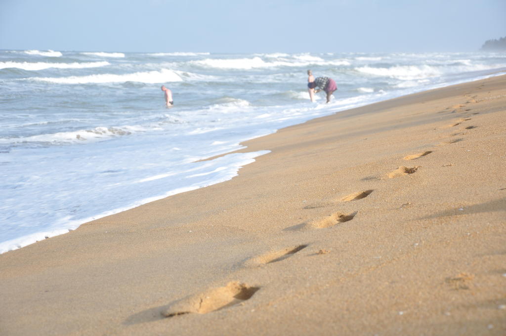 Laya Beach, Шри-Ланка, Ваддува, туры, фото и отзывы