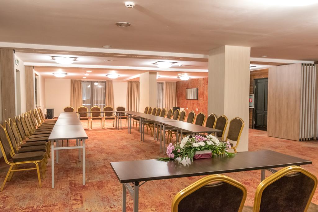 Tours to the hotel Lion Borovets