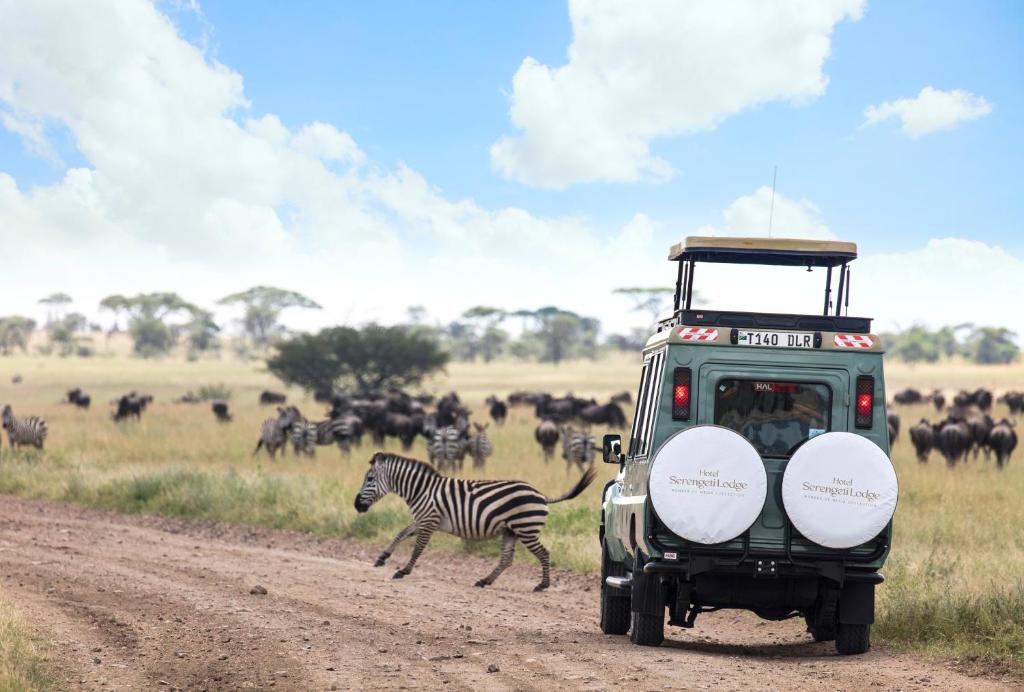 Tours to the hotel Melia Serengeti Lodge