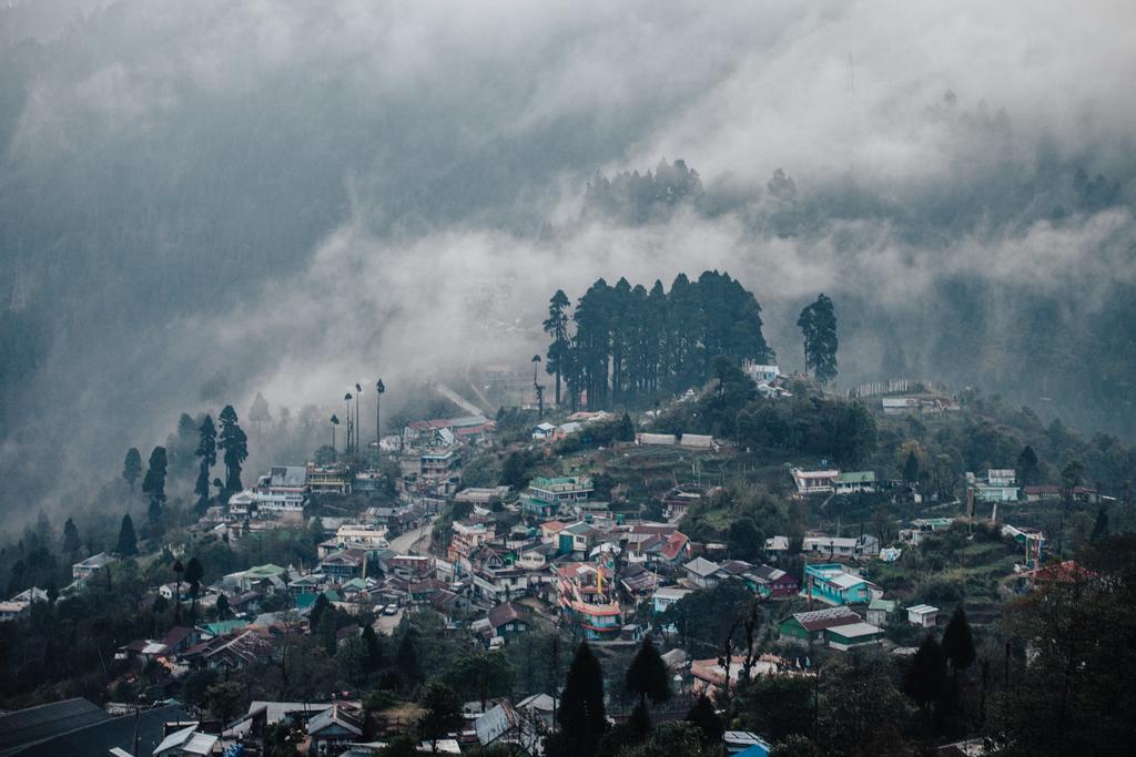 Sterling Silver Oaks, Darjeeling, Индия