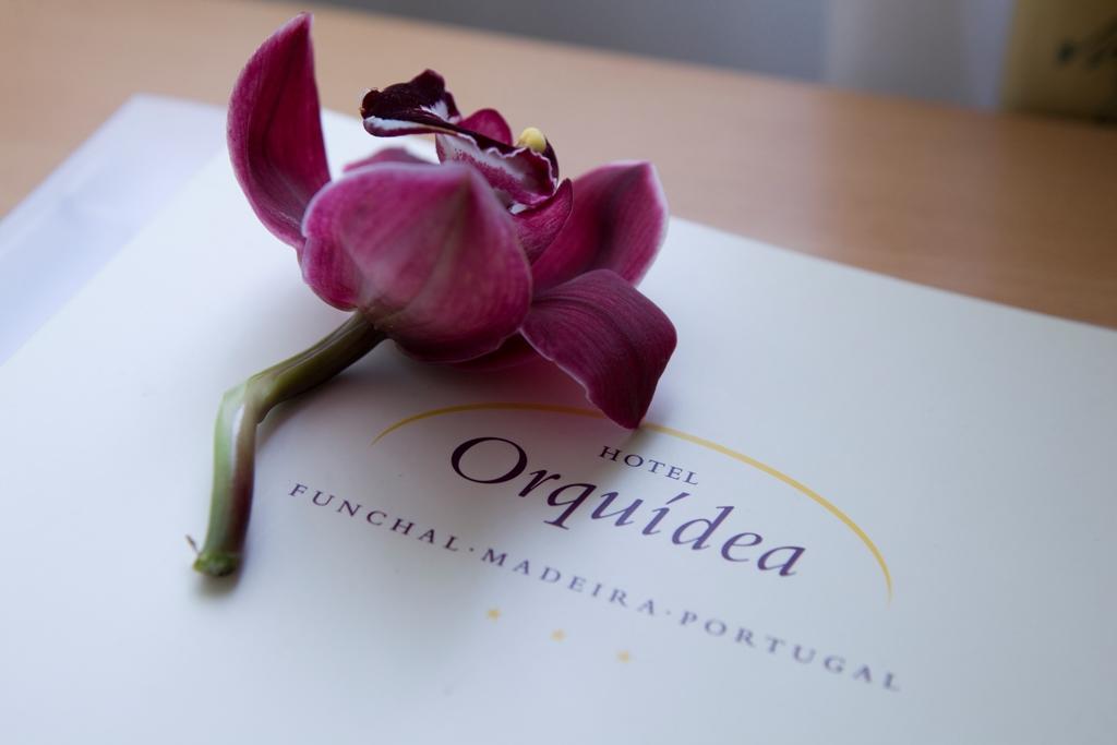 Orquidea, Фуншал, Португалия, фотографии туров