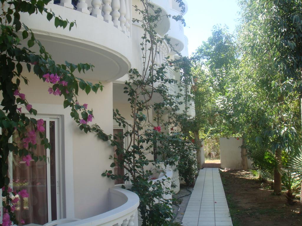 White Palace Studios, Родос (Средиземное побережье) цены