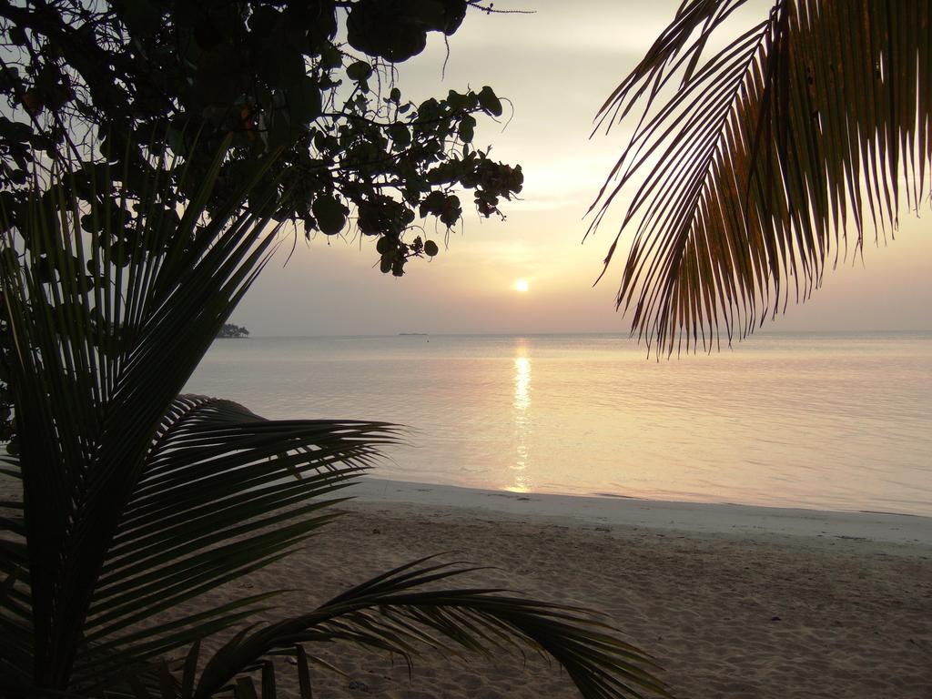 Playa Caribe Hotel, Доминиканская республика, Самана, туры, фото и отзывы