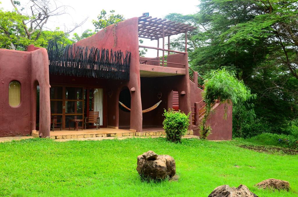 Тури в готель Amboseli Serena Lodge Амбоселі Кенія