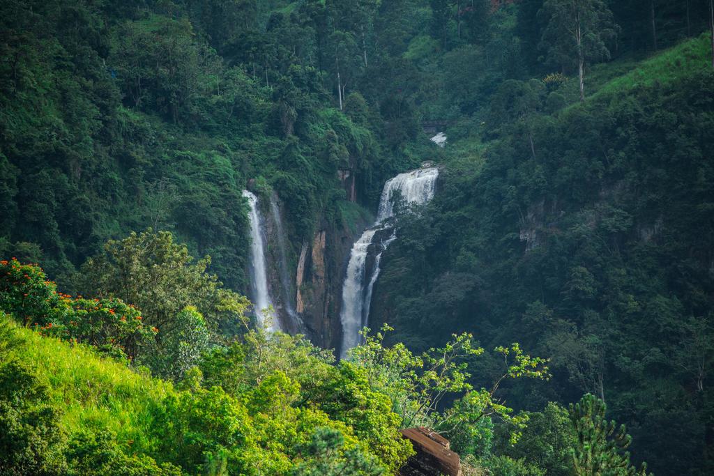 Туры в отель The Ramboda Falls 2* Нувара-Элия Шри-Ланка