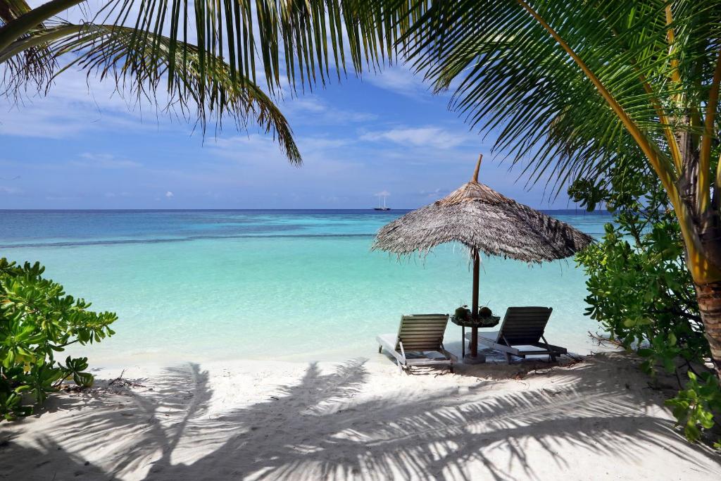 Hot tours in Hotel Gangehi Island Resort Ari & Razd Atoll